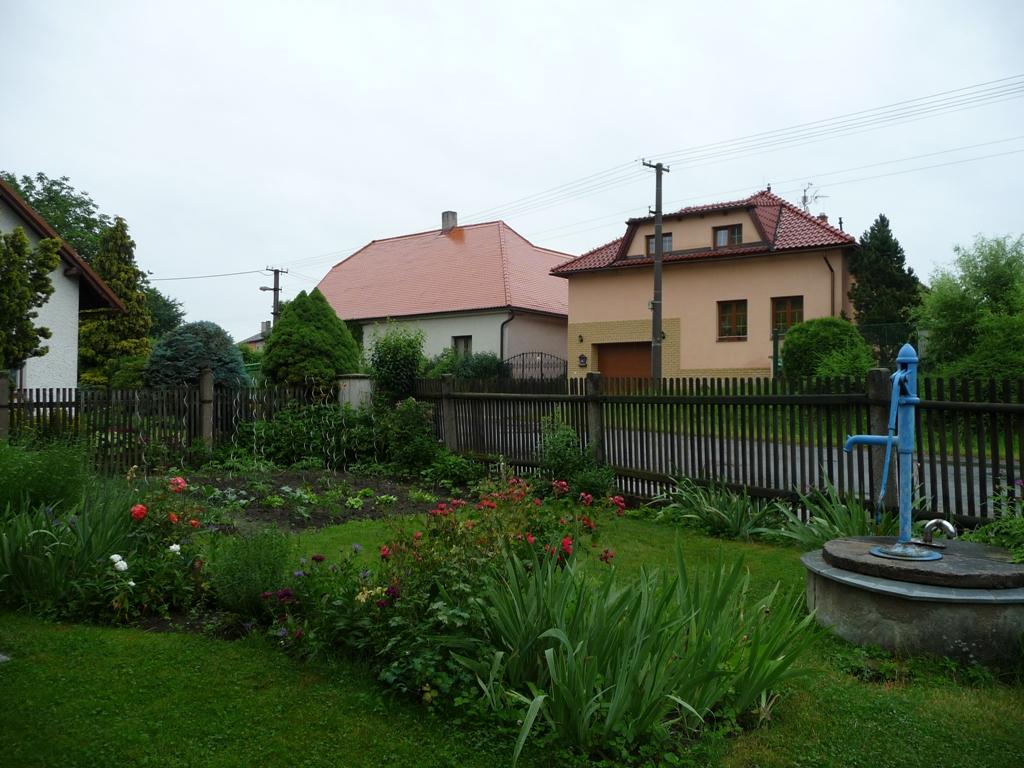 Třibřichy
